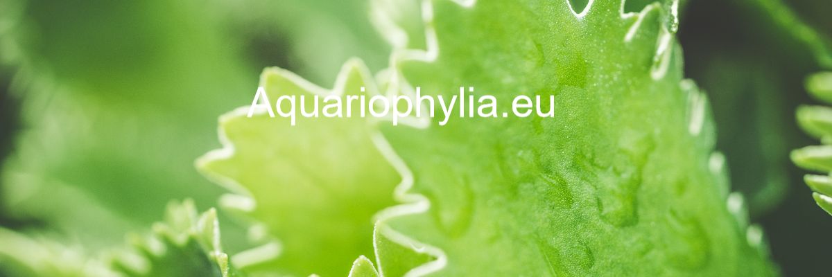 aquariophylia.eu